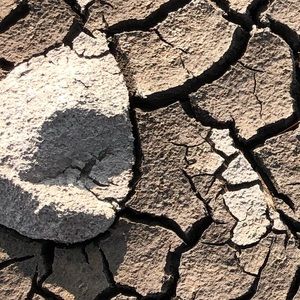 Meet your Posher, Caleb